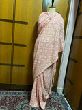 Peach Elegant Chikankari Saree Gorgeous Sarees