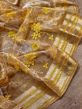Embroidery tissue metallic saree Indian saree