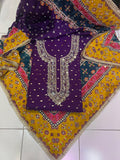 Ravina Indian punjabi Salwar suit