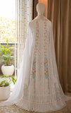 Lucknowie Gorgette dress pakistani dress Chikankari dress