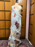 Naisha organza floral saree sexy sari