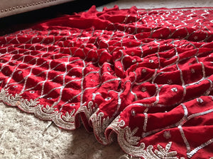Silky soft pure organza Embroidered Saree