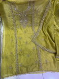 Reshi simmer organza suit punjabi salwar suit