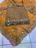 Rovisha Punjabi Salwar suit Indian suit