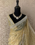 Inayat organza saree Partywear sarees beautiful sari