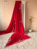 Richie Red saree luxury saree crepe silk sari blouse