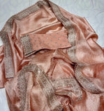 Kinzal Tissue Saree Crushed saree Partywear sari