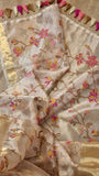 Embroidered tissue silk organza sari