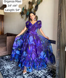 Munisha blue organza dress