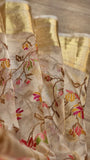 Embroidered tissue silk organza sari