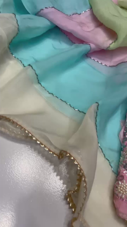 Exclusive Organza punjabi suit Indian salwar suit