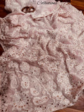 Varnia baby pink Chikankari saree