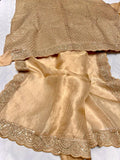 Rangvana tissue kanjeevaram saree