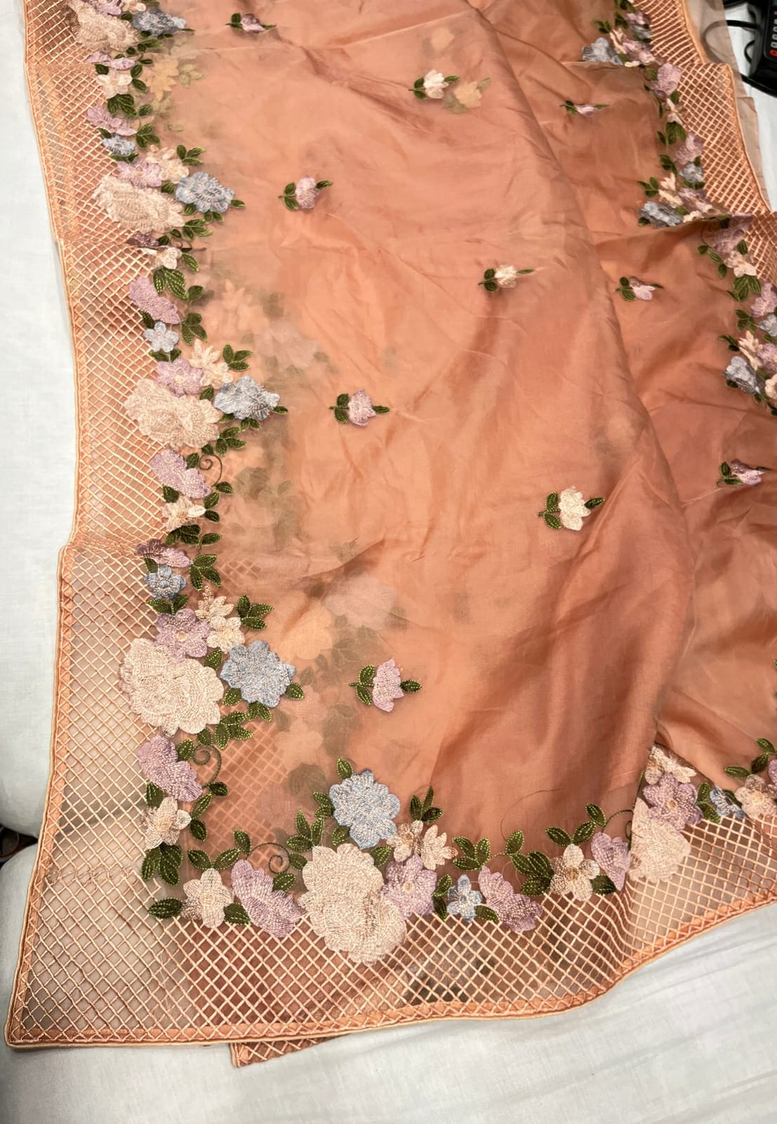 Delvia organza resham saree - Saffronfashionindia