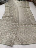 Shaded Chikankari elegant saree