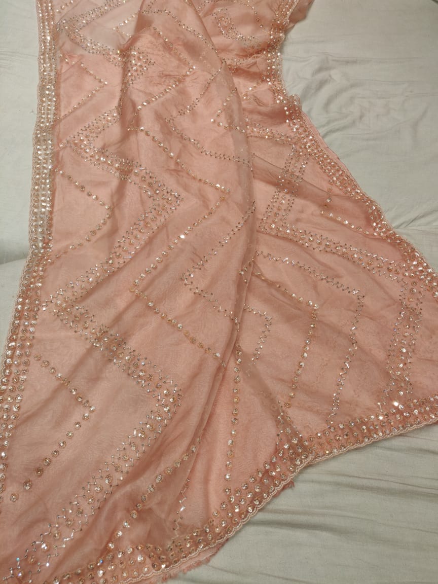 Pyari zardosi saree Partywear saree women saree blouse - Saffronfashionindia