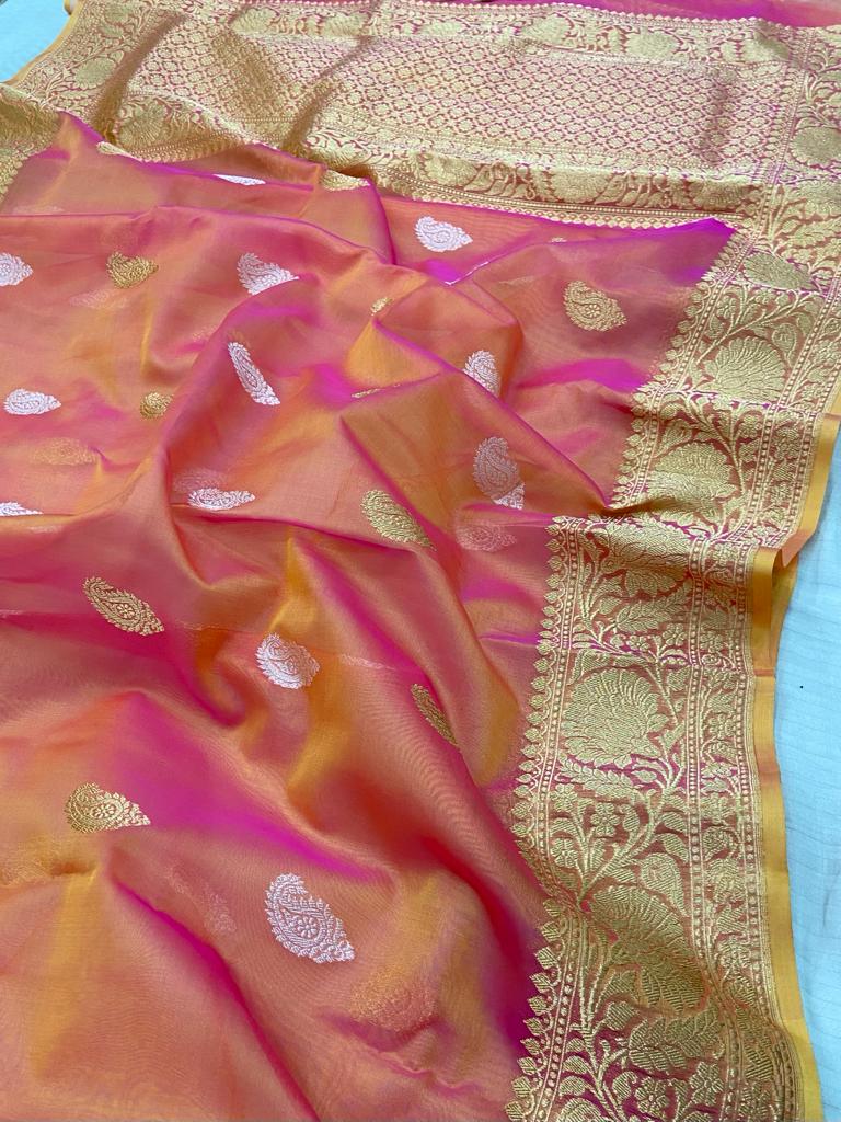 Lizak shaded organza saree - Saffronfashionindia