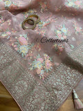Vanilla gorgeous saree/embroidered saree