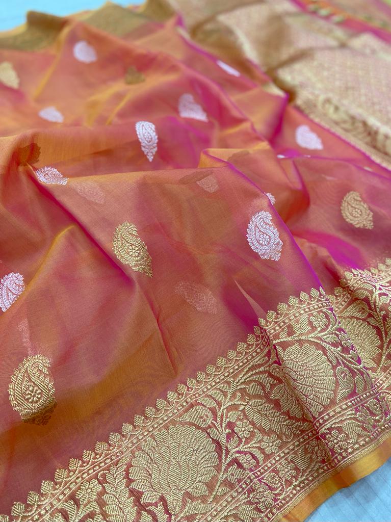 Lizak shaded organza saree - Saffronfashionindia
