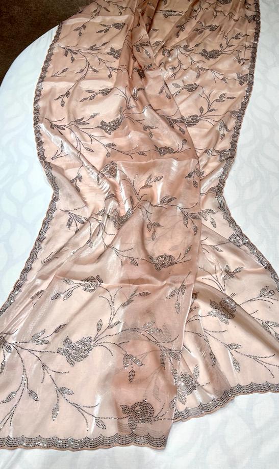 Tissue organza inspired sari - Saffronfashionindia