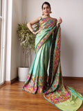 Pinata Embroideredsaree/saree/sari