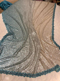 Nashina shaded sequence saree