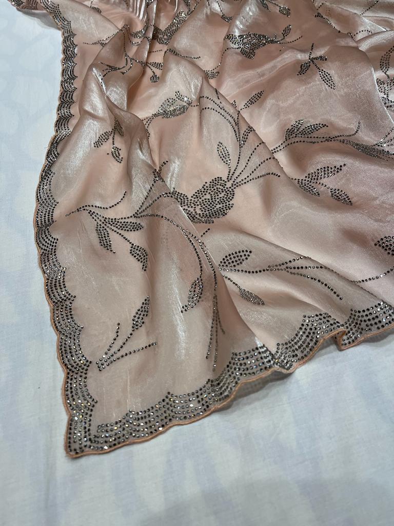 Tissue organza inspired sari - Saffronfashionindia