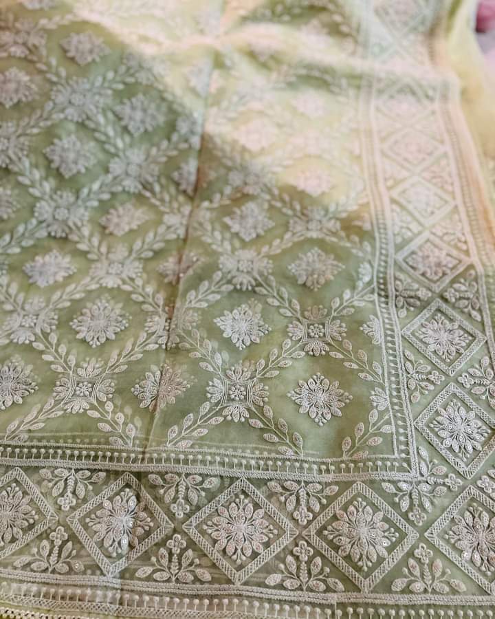 Nishiv Chikankari organza saree - Saffronfashionindia