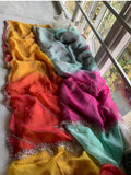 Shaded organza saree