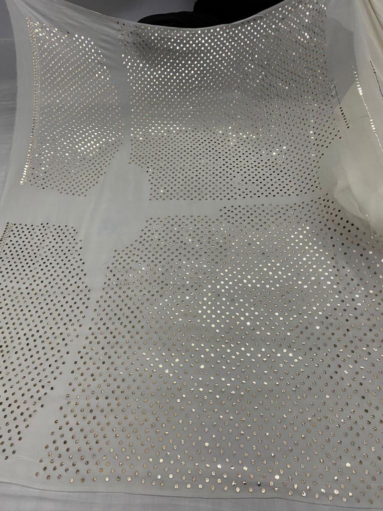 Sequenza Chikankari saree - Saffronfashionindia