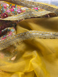 Mirzah organza embroidered saree